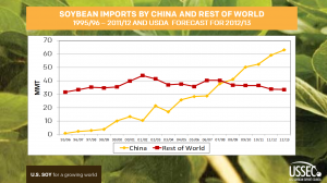 China soybean chart