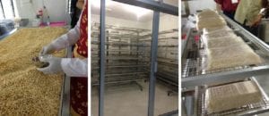 The training facility at the Rumah Tempe Indonesia (or Tempe House Indonesia) focuses on good hygienic practices in tempe making