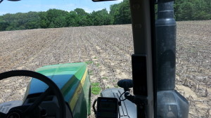 Sneed_0522_planting4