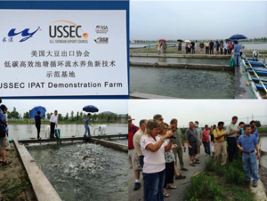 IPA fish farms visits in Pingwang and Shanghai, China
