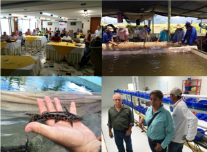 Images of seminar and technical services for Colombian fish producers