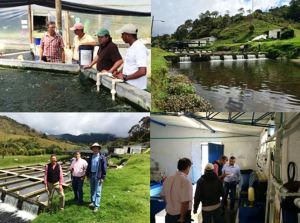 USSEC provided technical service visits to fish producers in Colombia