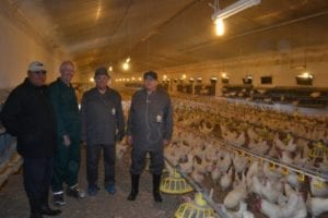 USSEC team at layer breeder farm