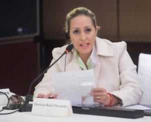 Patricia Ruiz de Florentin, gives her perspective on an issue during a planning meeting for an upcoming ISGA event.