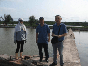 USSEC Vietnam Aquaculture Technical Managers Vo Hoang Nguyen and Nguyen Van Tien visit the Asian sea bass farm of Nguyen Thi Ven in Thai Binh, Vietnam to check pond preparation