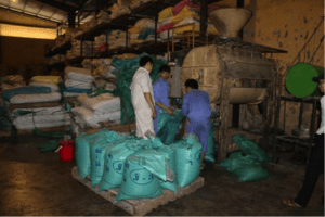 Production of soy-optimized feed for Asian sea bass at Kinh Bac feed mill