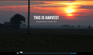 Screen Shot 2015-08-10 at 12.15.16 PM