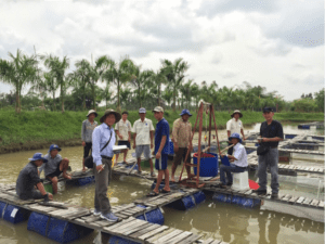 Sampling work at the Proconco experimental farm