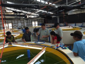 USSEC Asia Marine Specialist, Aquaculture - SEA Hsiang Pin Lan discusses the proper design of surface skimmers during the marine fish hatchery program with USSEC staff and the staff and owner of Palawan Aquaculture Corporation in Coron, Palawan on February 16