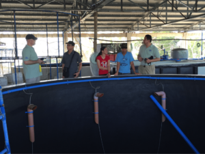 USSEC Aquaculture Program Lead Technical Consultant – SEA Lukas Manomaitis talks about USSEC’s marine fish hatchery program with customer Ben Lim, Jr.
