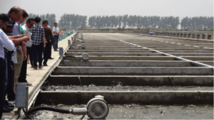 USSEC tour team at a 52 raceway IPA farm in Jiangsu on May 30