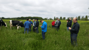 Polish dairy specialists check on pasture-based feeding of a dairy herd in Bretagne