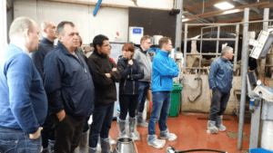 Feeding concentrates at milking time was of particular interest to the Polish customers visiting a carousel milking parlor