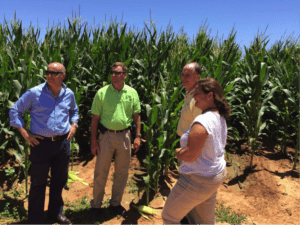 At the Andalucia farm visit.  (Left to right):  Antonio Prada (CADECAP); Kendall Culp (ASA); Scott Singlestad (USB); and Nuria Reventos (farm owner)