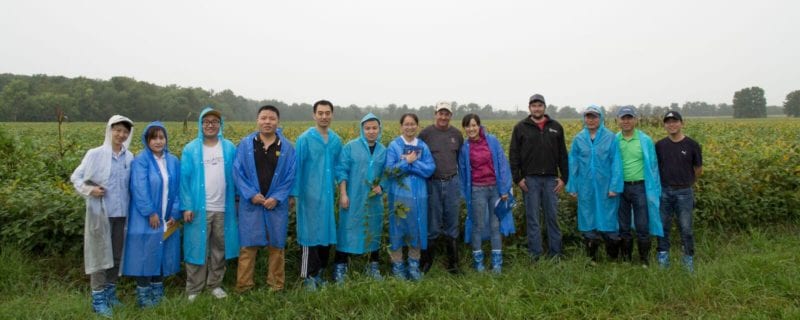 bruns-farm-group