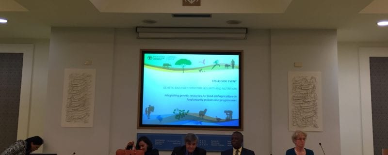 Genetic Diversity on on Food Security and Nutrition: this session focused on specific genetic traits of food. With regards to animal utilization, people who eat the entire animal have better nutrition and micronutrient profiles.