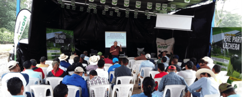 Carlos Campabadal speaks about the importance of U.S. soybean meal in the closing dairy diet