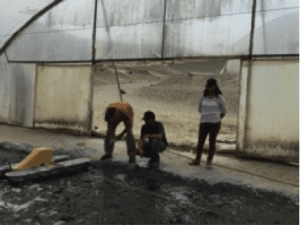 peru1