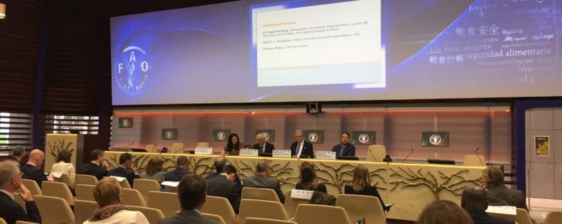 Sustainable Development Goals Session at the IAFN
