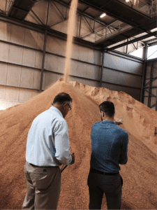 Visiting Amadori full fat soy plant