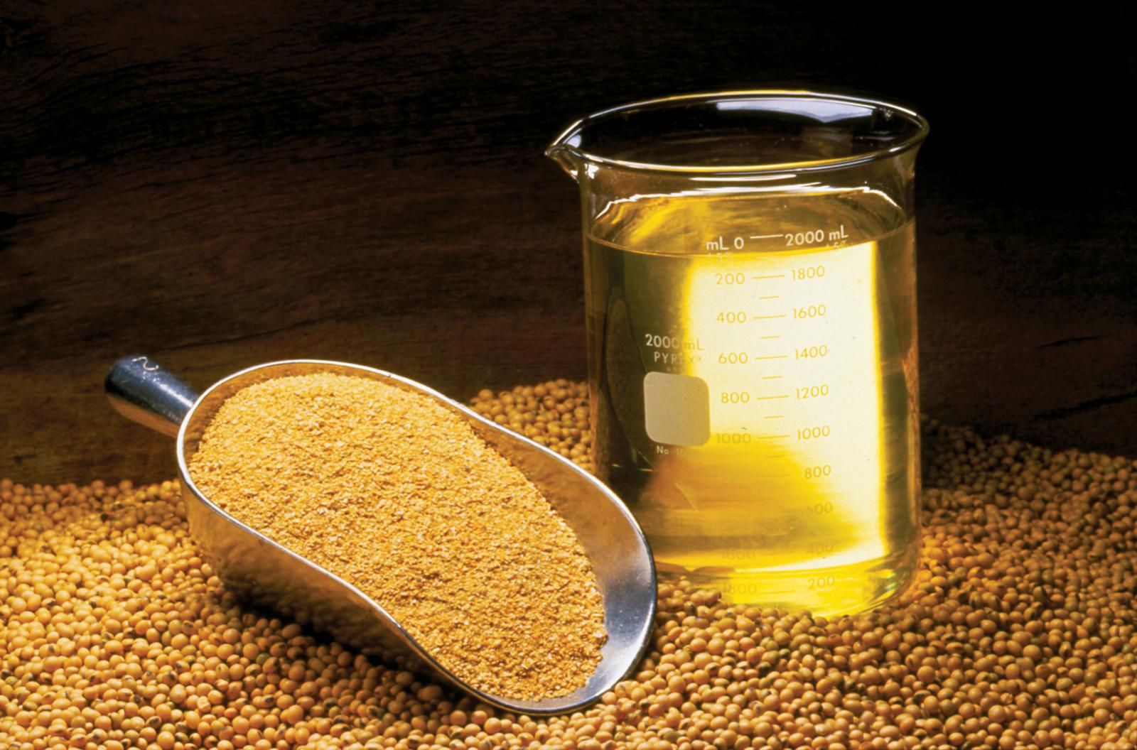 Soybean Moisture Conversion Chart