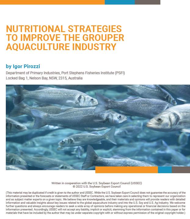 Nutritional Strategies to Improve the Grouper Aquaculture Industry technical bulletin by Igor Pirozzi