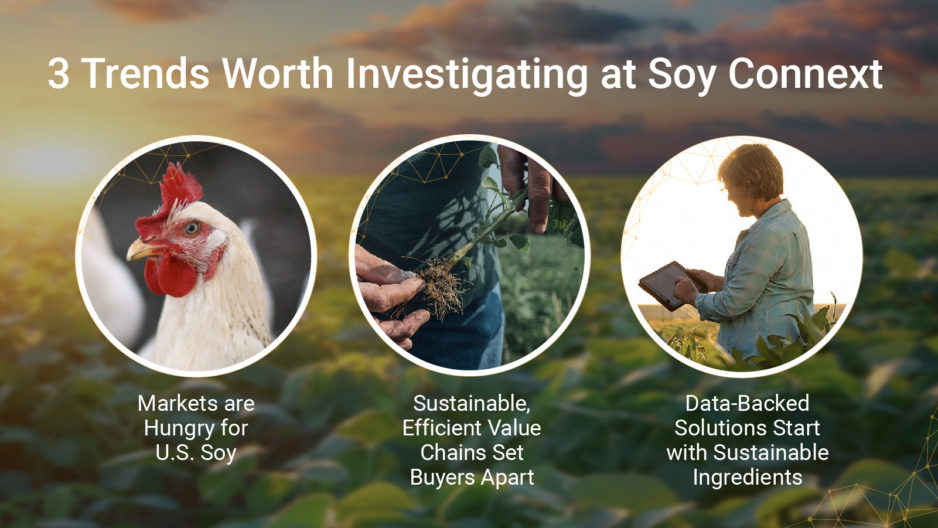 Three Trends To Investigate At Soy Connext U S Soybean Export Council