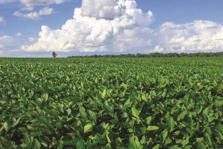 Farmers Poised to Increase U.S. Soy Exports on the Heels of Soy Connext ...