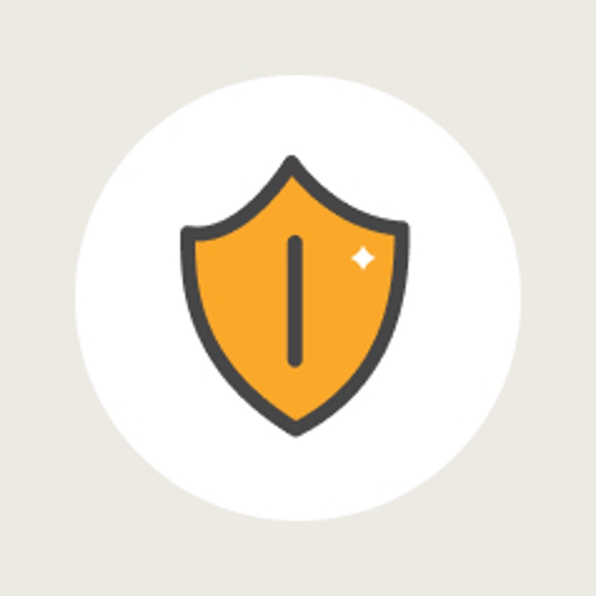 Shield icon
