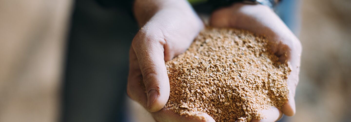 Hands cupped together holding a pile of soil