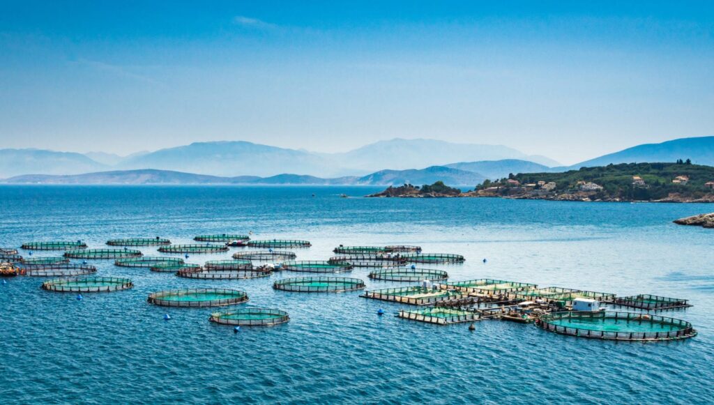 Facility Planning Calculators