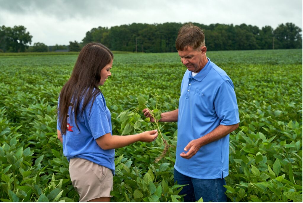 Farmers standing in field examining soybean plant