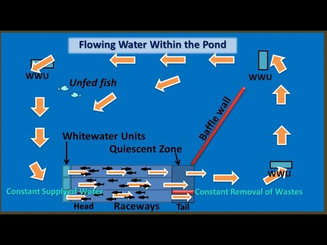 IPRS Video Explainers