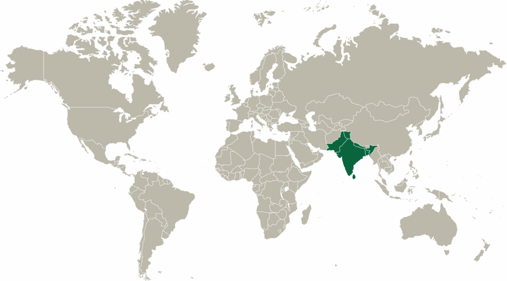 a world map where every country is in grey except for South Asian countries, which are in green