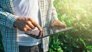 Person using a tablet in the field