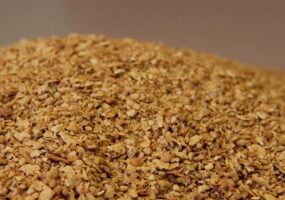 Soybean Meal Masthead