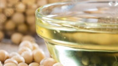 Soybeans beside a bowl of soy oil