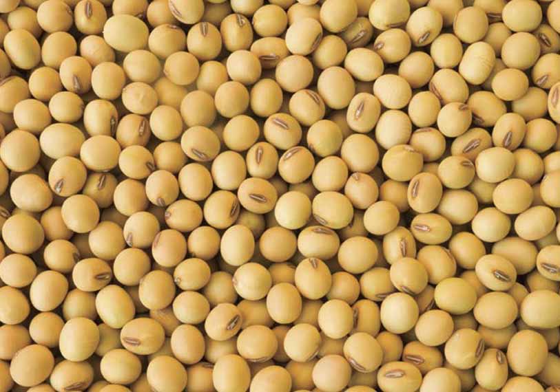 Resource Library - U.S. Soybean Export Council