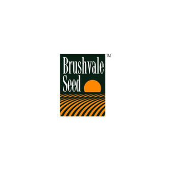 Brushvale Seed Logo
