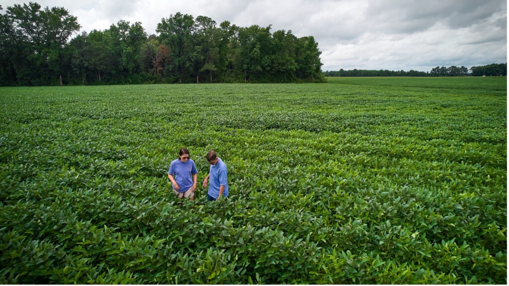 Aerial photo of two farmers inspecting a soybean farm