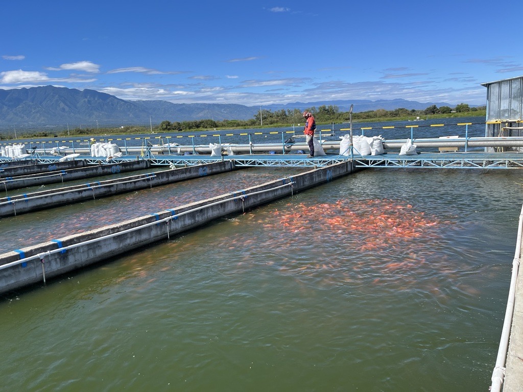 In-Pond Raceway Systems in Colombia with man.