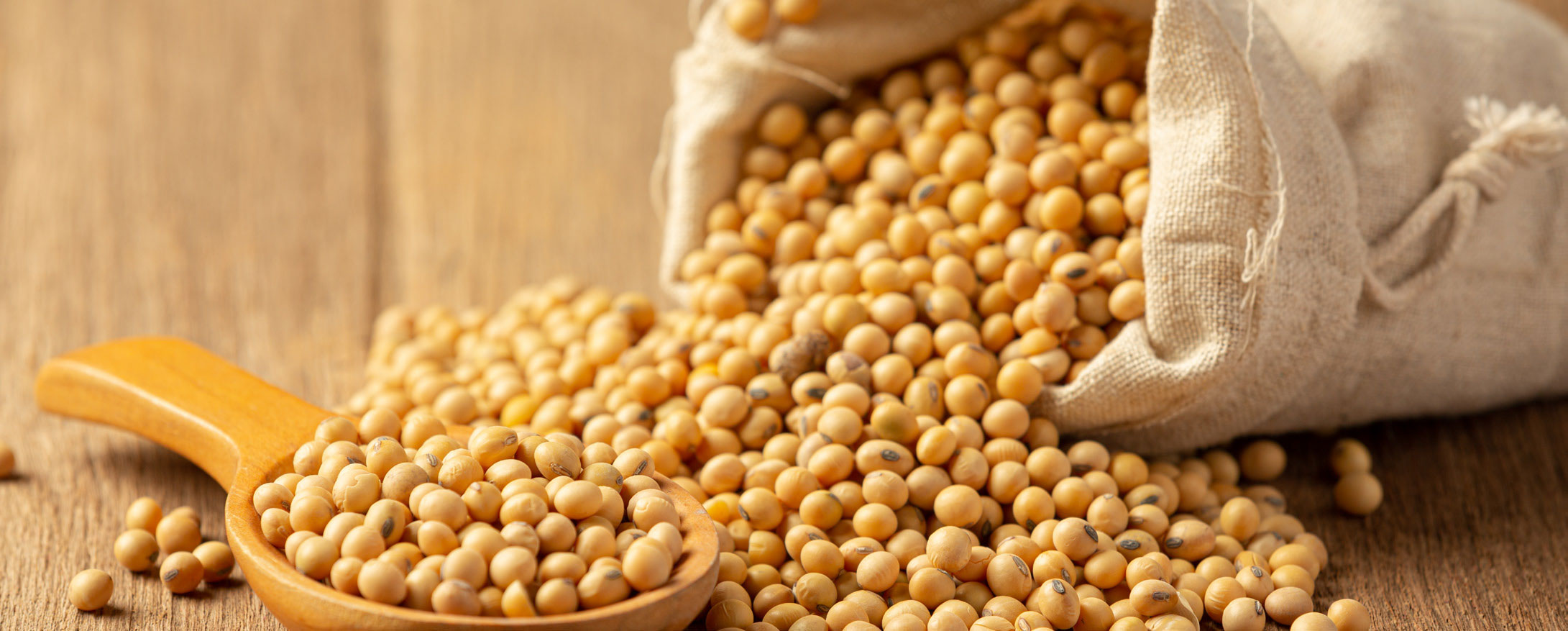 SOY – The Super Versatile Ingredient You Want to Include - U.S.