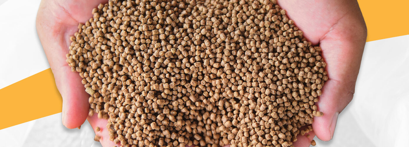 hands holding animal feed