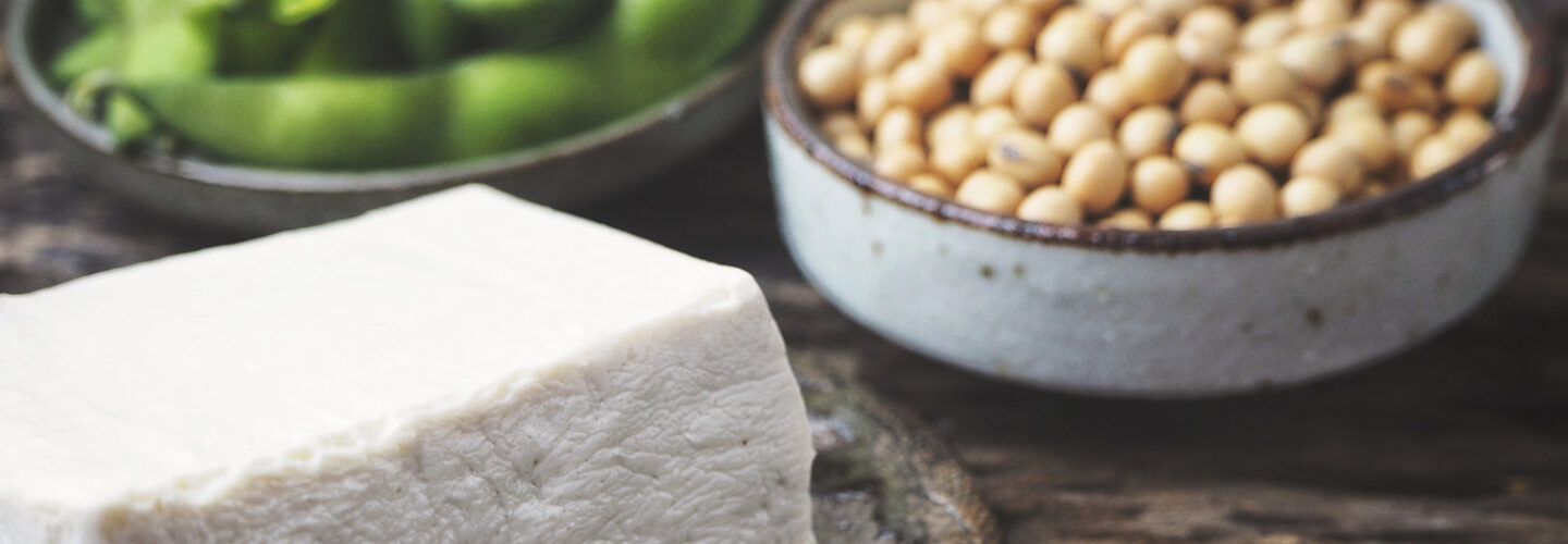 tofu, soybeans and forms of soy on a table